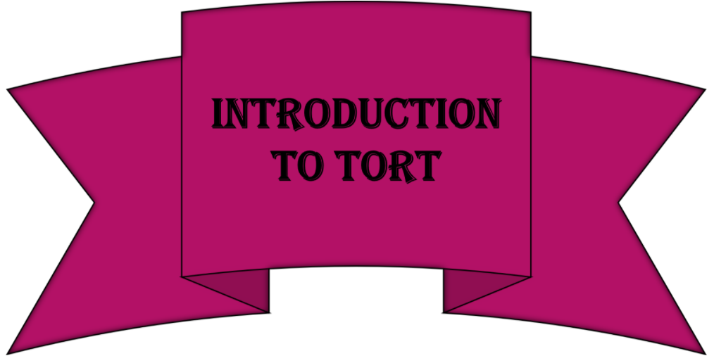 Introduction to Tort